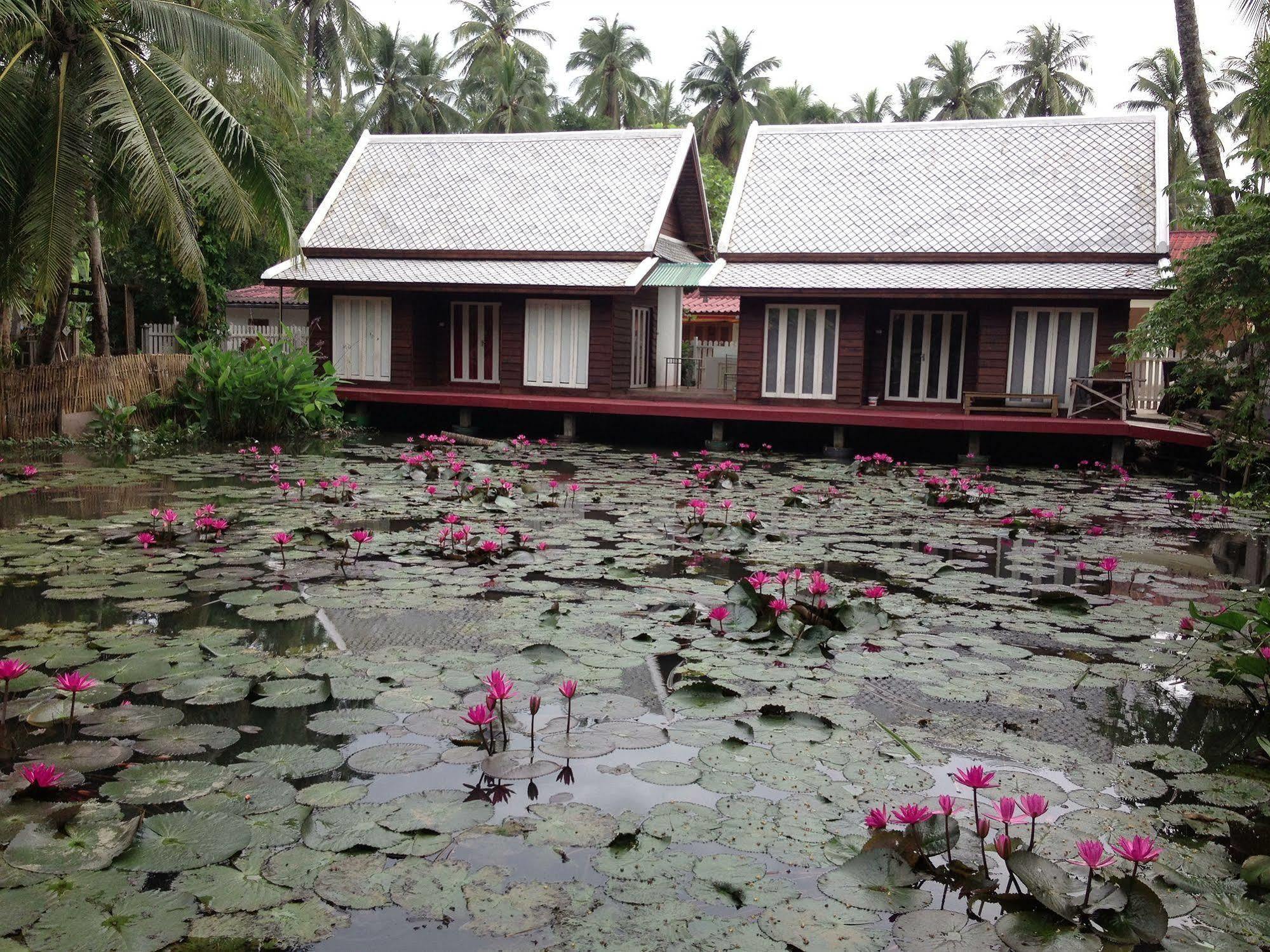 Luang Prabang Oasis Hotel Exteriör bild